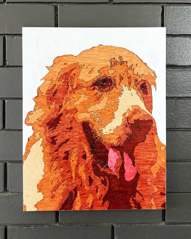 Hand-Etched Wood Pet Portrait — 11x14
